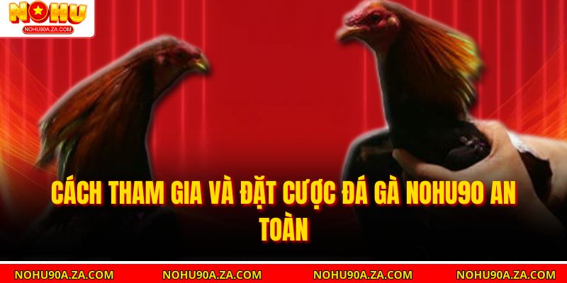 Đá Gà Nohu90 – Trải Nghiệm Cá Cược Trực Tuyến An Toàn, Hấp Dẫn 5 Cách tham gia và đặt cược đá gà nohu90 an toàn