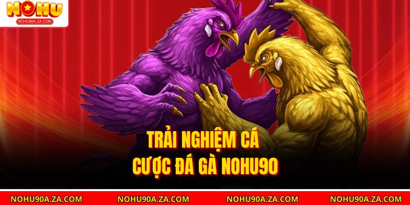Đá Gà Nohu90 – Trải Nghiệm Cá Cược Trực Tuyến An Toàn, Hấp Dẫn 2 Trải nghiệm cá cược đá gà nohu90